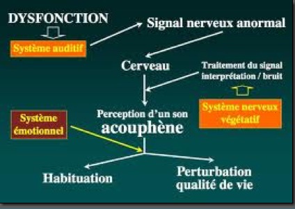 Descr accouphènes 3